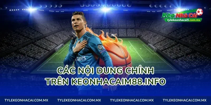 Các nội dung chính trên tylekeonhacai.football